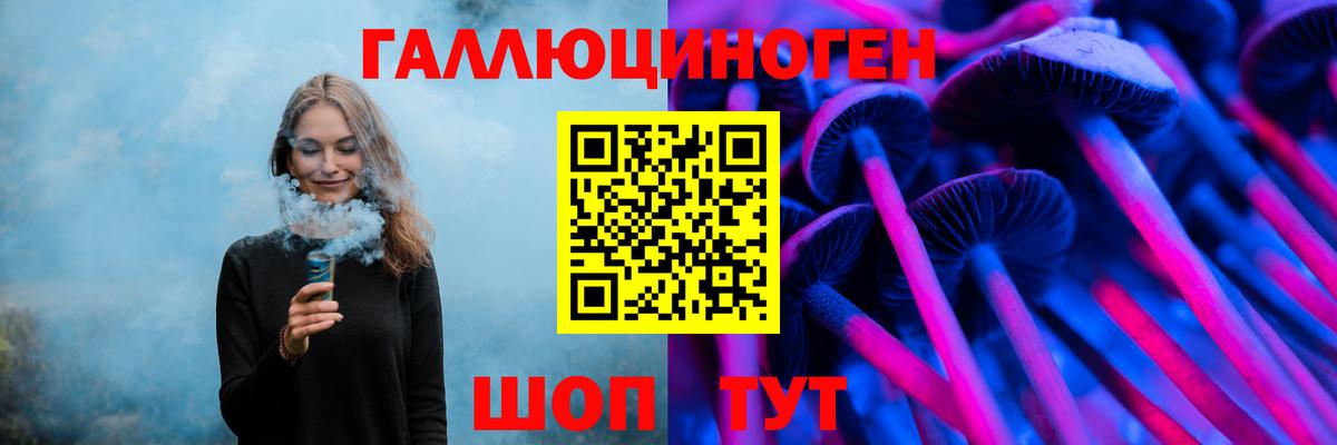 Псилоцибиновые грибы Psilocybe  Псилоцибиновые грибы ЛСД  Вход с VPN  цена наркотик  Горячий Ключ 