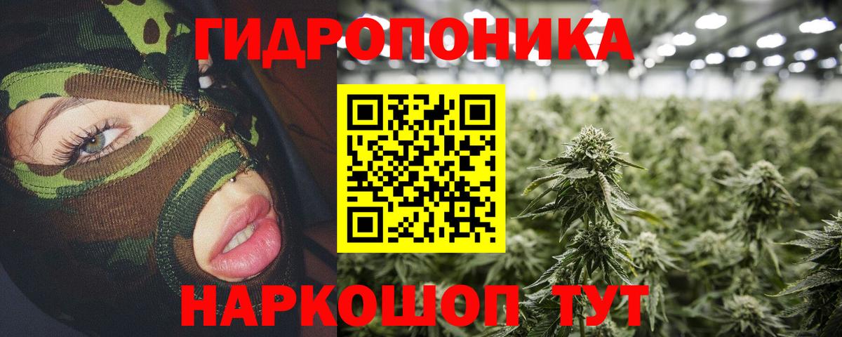 Конопля AK-47  Бошки Шишки MAZAR  Конопля LSD WEED  Канабис планчик  Горячий Ключ  Вход с VPN 